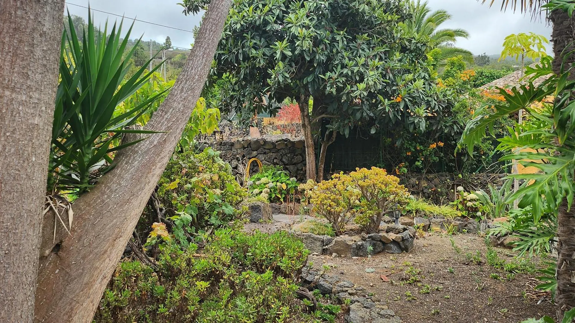 Oasis Hill Botanical Garden Villa Icod De Los Vinos Spanien