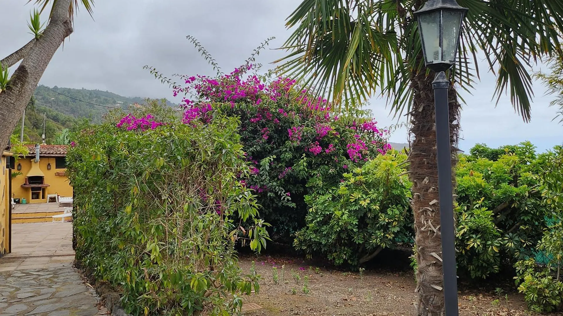 Jaktstuga Oasis Hill Botanical Garden Villa Icod De Los Vinos Spanien